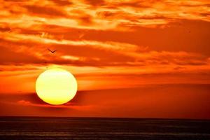 Sunset over the sea photo