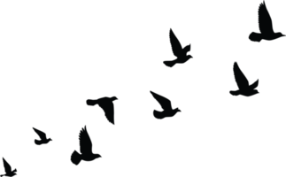 fond d'écran de motif de silhouettes d'oiseaux volants. png transparent. oiseau isolé volant. conception de tatouage. modèle pour carte, paquet et papier peint.