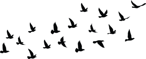 fliegende Vögel Silhouetten Mustertapete. png transparent. isolierter vogel fliegt. Tattoo-Design. vorlage für karte, paket und tapete.