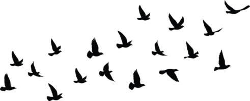 Flying birds silhouettes pattern wallpaper. PNG transparent. isolated bird flying. tattoo design. template for card, package, and wallpaper.