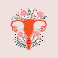 Female reproductive system is stylized flowers vector