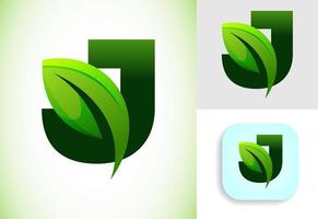 inicial j alfabeto con un hoja. Respetuoso del medio ambiente logo concepto. gráfico alfabeto símbolo para negocio y empresa identidad. vector