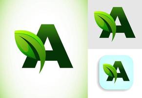 inicial un alfabeto con un hoja. Respetuoso del medio ambiente logo concepto. gráfico alfabeto símbolo para negocio y empresa identidad. vector