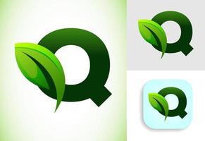 inicial q alfabeto con un hoja. Respetuoso del medio ambiente logo concepto. gráfico alfabeto símbolo para negocio y empresa identidad. vector