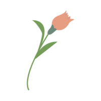 eben Design von Blume zum dekorativ. png