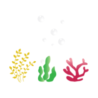 coraux et bulles pour décoratif. png