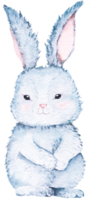 aquarelle Pâques lapin illustration.mignon duveteux gris lapin.cartoon lapin.main tiré adapté aux animaux pour les enfants. png