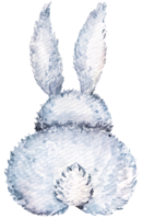 Watercolor easter rabbit.Bunny illustration.Cute fluffy grey rabbit. png