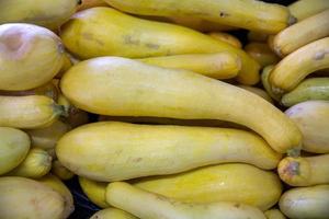 Bunch of Yellow Squash photo