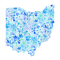 Ohio Zustand Karte gemalt im Aquarell png