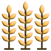 3D illustration wheat in nature set png