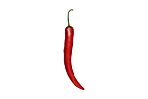 des légumes rouge poivre isolé sur une transparent Contexte png