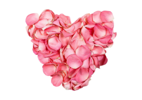 Heart shaped petals isolated on a transparent background png