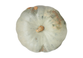 White pumpkin isolated on a transparent background png