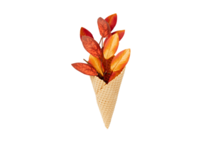 Cone with leaves isolated on a transparent background png