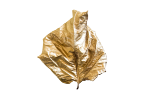 Golden leaf tree isolated on a transparent background png