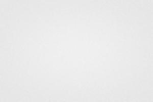White Paper Texture Background  with Grain. photo