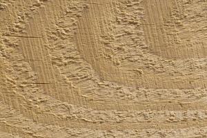 close up of rough wood texture photo