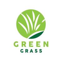 Green Grass Logo, Nature Plant Vector, Agriculture Leaf Simple Design, Template Icon Illustration vector