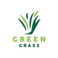 Green Grass Logo, Nature Plant Vector, Agriculture Leaf Simple Design, Template Icon Illustration vector