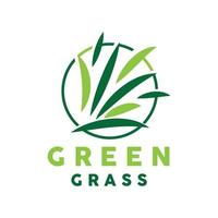 Green Grass Logo, Nature Plant Vector, Agriculture Leaf Simple Design, Template Icon Illustration vector