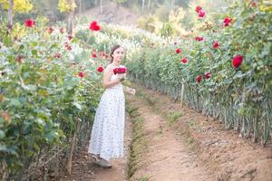 Young Asian woman wearing a white dress poses with a rose in rose garden photo