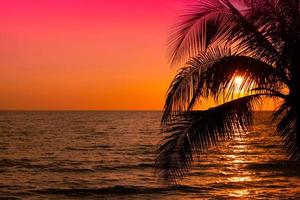 hermosa puesta de sol tropical playa con palma árbol en cielo para viaje y vacaciones foto