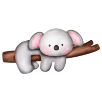 acquerello carino koala illustrazione clipart. png