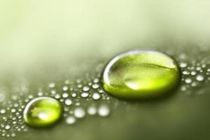 3d render rain drop on the leaf, micro photo, waredrop green background photo