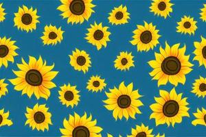 sun flower on blue background, sunflower pattern texture for fabric photo