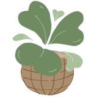 Minimal Plant in the Pot png