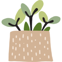 Minimal Plant in the Pot png