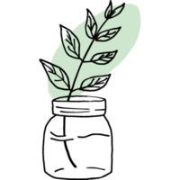 Doodle Plant with Freeform Shape png