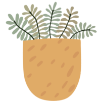 Minimal Plant in the Pot png