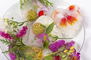 Various flowers in ice cubes. Creative floral background. Frozen beautiful plants. photo