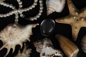 Beautiful seashells with white pearls on a black background. photo