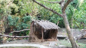 pequeño casa en el bosque foto