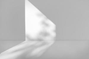 Empty room with natural tree leaves shadow drop on window background photo