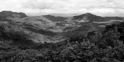 hermosa paisaje ver de montaña. bosque o selva con montaña tacón y nube cielo en negro y blanco estilo. belleza de naturaleza y natural fondo de pantalla en monocromo tono. foto