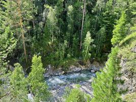 Mountain river flowing in a valley between a forest and a high cliff, Buryatia, Russia photo