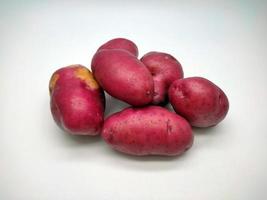 Red potato, isolated on white background photo