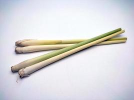 Lemongrass isolated on a white background photo