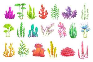 Cartoon underwater seaweed plants, sea algae set vector