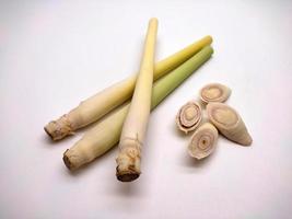 Lemongrass isolated on a white background photo