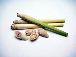 Lemongrass isolated on a white background photo