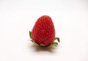 Strawberry isolated in white background photo