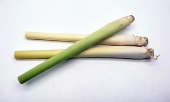 Lemongrass isolated on a white background photo