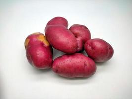 Red potato, isolated on white background photo
