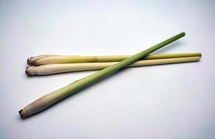 Lemongrass isolated on a white background photo