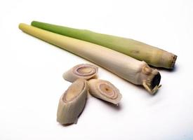 Lemongrass isolated on a white background photo